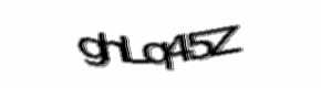 Security check image, please type the characters shown