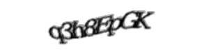 Security check image, please type the characters shown